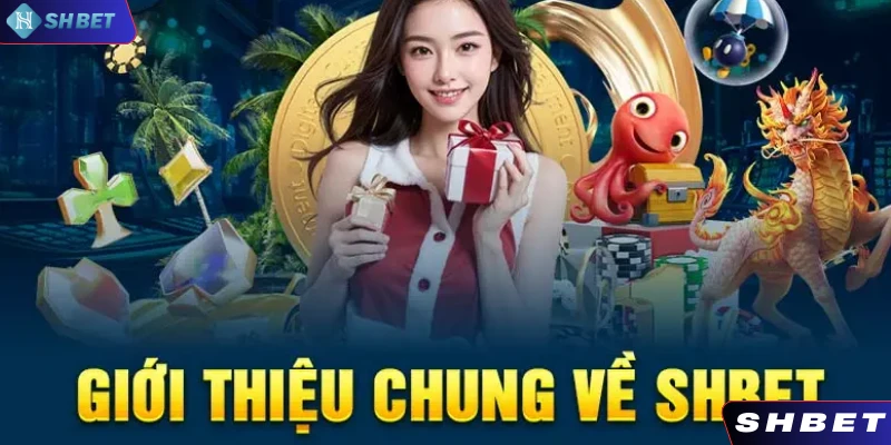 Giới thiệu về chúng tôi